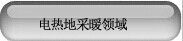 电热